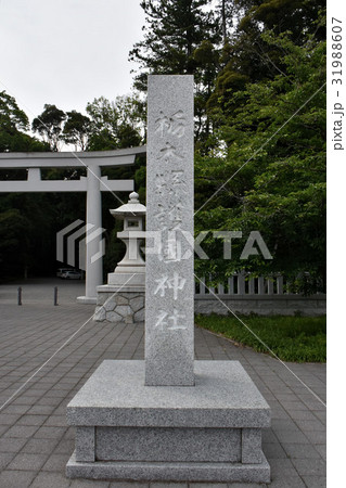 宇都宮市　栃木県護国神社 31988607