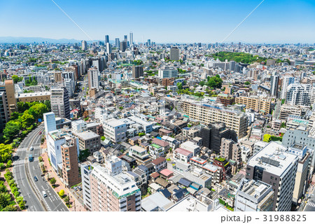 東京　文京区周辺と池袋方面の町並み 31988825