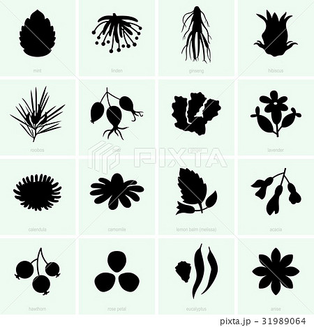 Herbal tea ingredients Herbal tea ingredients 31989064