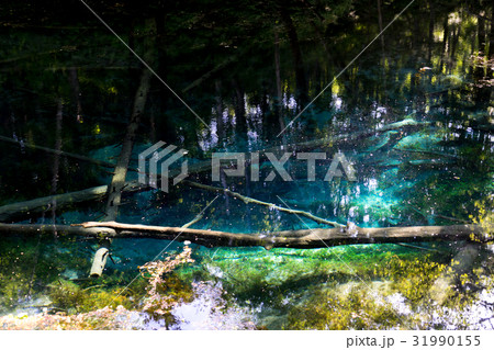 北海道、神の子池の風景 北海道、神の子池の風景 31990155
