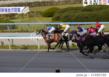 競馬 競馬 31990798