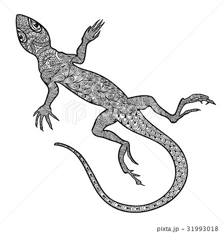 Lizard reptile . Patterned ornamental salamander Lizard reptile . Patterned ornamental salamander 31993018