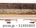 エアコンのカビ 31993803