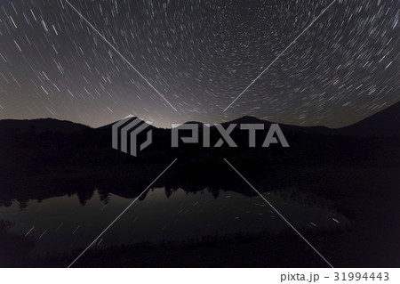 星降る睡蓮沼 31994443