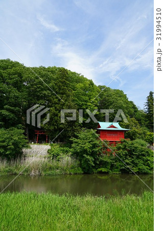 鼻顔稲荷神社(はなづらいなりじんじゃ)長野県佐久市岩村田 鼻顔稲荷神社(はなづらいなりじんじゃ)長野県佐久市岩村田 31994510