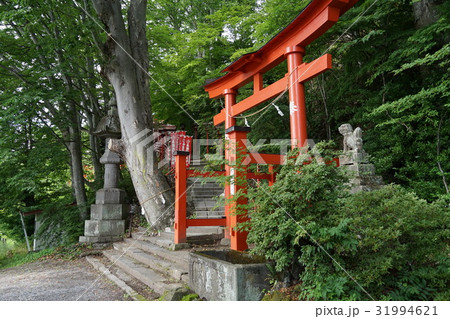 鼻顔稲荷神社（はなづらいなりじんじゃ）長野県佐久市岩村田 31994621