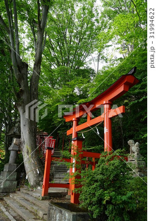 鼻顔稲荷神社(はなづらいなりじんじゃ)長野県佐久市岩村田 鼻顔稲荷神社(はなづらいなりじんじゃ)長野県佐久市岩村田 31994622
