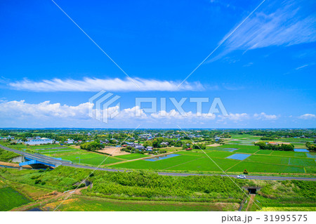 大網白里市　九十九里町の九十九里有料道路付近を空撮 31995575