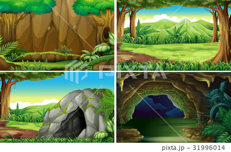 Four different scenes of forests Four different scenes of forests 31996014