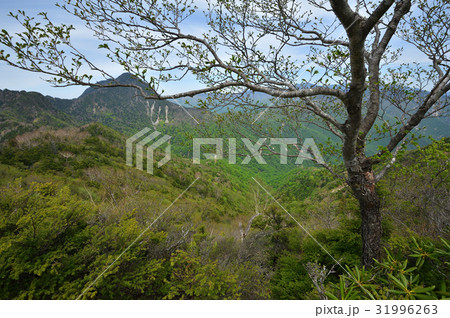 庚申山から見た皇海山 31996263