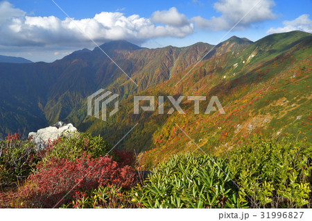 丹後山8合目から見た中ノ岳への稜線 丹後山8合目から見た中ノ岳への稜線 31996827