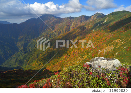 丹後山8合目から見た中ノ岳への稜線 31996829