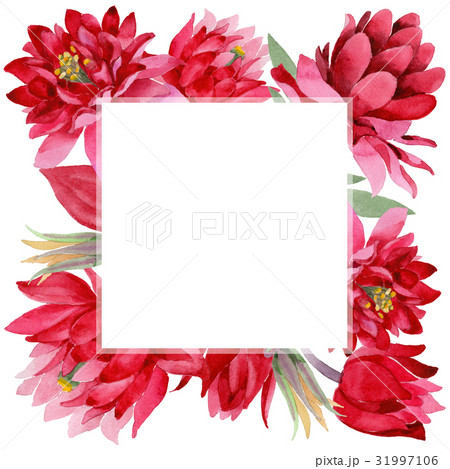 Wildflower Aquilegia flower in a watercolor style Wildflower Aquilegia flower in a watercolor style 31997106