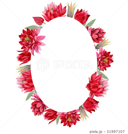 Wildflower Aquilegia flower in a watercolor style 31997107