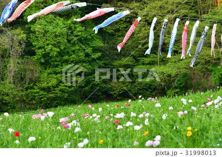 横須賀・くりはま花の国 31998013