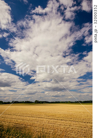 Cloudy sky over the field with harvested grain Cloudy sky over the field with harvested grain 32000352
