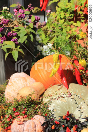 ハロウィーンガーデン ハロウィーンガーデン 32000696
