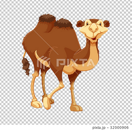 Cute camel on transparent background 32000906