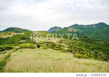 猟師岳　ミヤマキリシマ 32002370