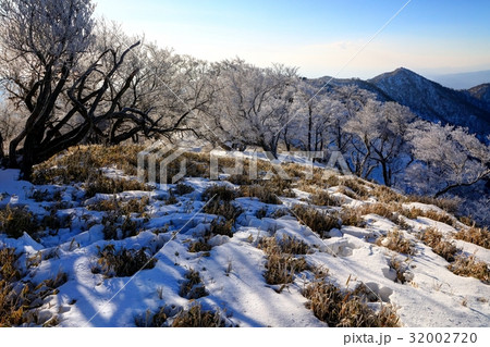 丹沢山の樹氷と塔ノ岳 丹沢山の樹氷と塔ノ岳 32002720