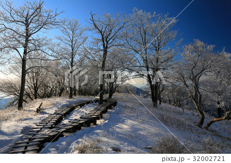 丹沢山稜線の登山道と樹氷 32002721