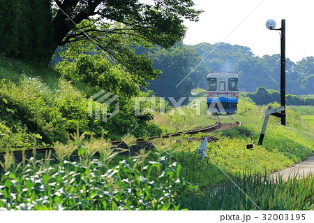 ひたちなか海浜鉄道「6月下旬の沿線風景」 32003195