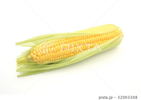 トウモロコシ 32003308