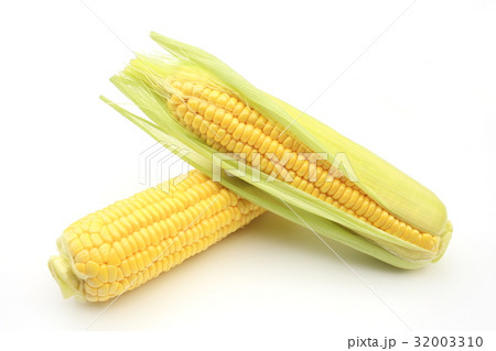 トウモロコシ 32003310