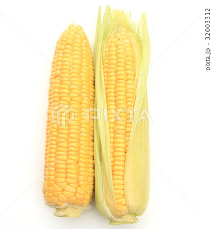 トウモロコシ 32003312
