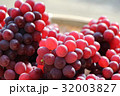 ぶどう 32003827