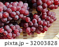 ぶどう 32003828