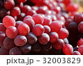 ぶどう 32003829