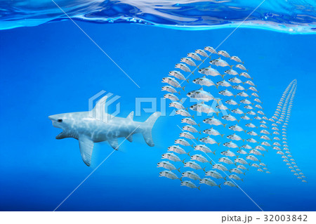 .Little fishes unite fight with big fish. .Little fishes unite fight with big fish. 32003842