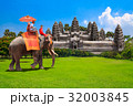 Tourists on an ride elephant tour the ancient  32003845