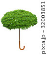 Umbrella shaped tree for environmental protection  32003851