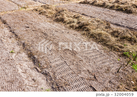 Seedbets. 32004059