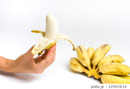 Hand holding small tropical banana on white 32005610