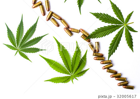 Marijuana leaves and metal bullets isolated Marijuana leaves and metal bullets isolated 32005617