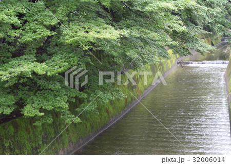 河川2 32006014