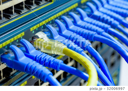 UTP Cables connected to network switch ports 32006997
