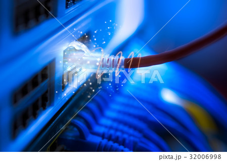 UTP Cables connected to network switch ports 32006998