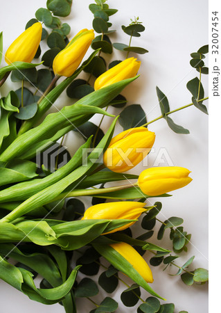 beautiful yellow tulips with eucalyptus branches 32007454