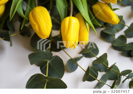 beautiful yellow tulips with eucalyptus branches 32007457