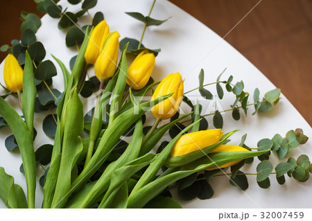 beautiful yellow tulips with eucalyptus branches 32007459