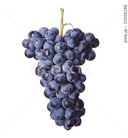 Fresh bunch of red wine 32008286