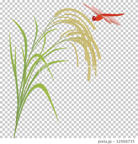稲穂 32008735