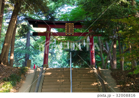 氷川女体神社 32008816