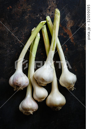 Garlic close up 32009095