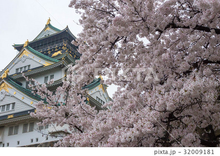 大阪城と桜 32009181