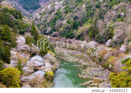 春の嵐山 32009227